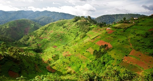 Uganda Abanista