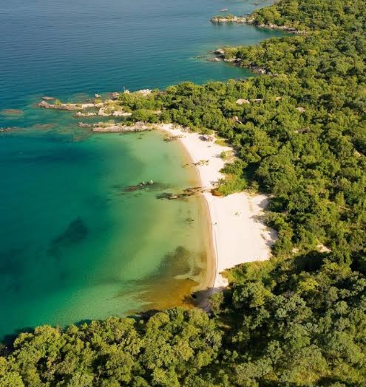 Malawi H.Adams Imports