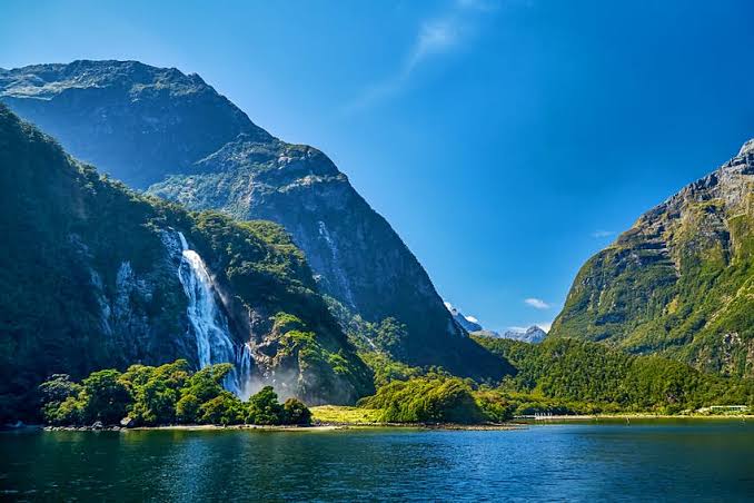 New Zealand- Shop New Zealand