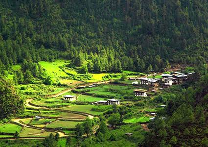 Bhutan DrukSell