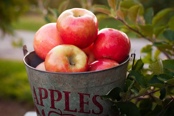 Iran : Fruits from Iran